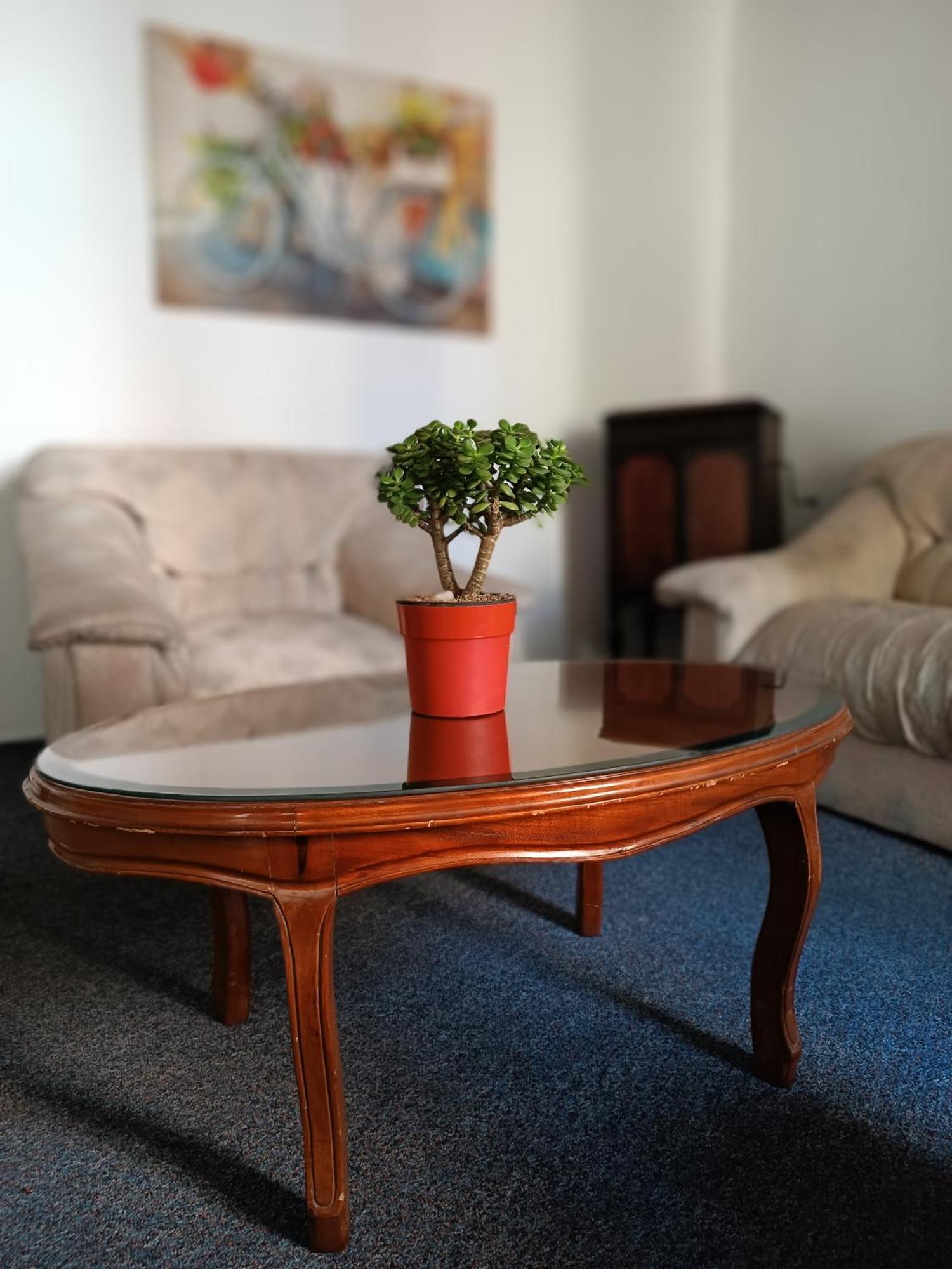 The Flora House - Espacio Seguro, Amplio Y Acogedor Homestay